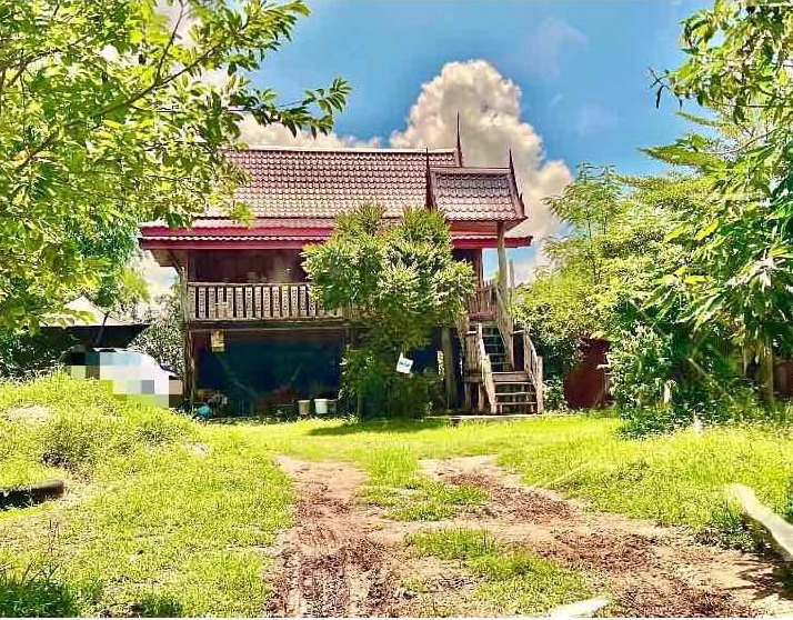 ขายทอดตลาด ที่ดินพร้อมสิ่งปลูกสร้าง ต.ทัพทัน อ.ทัพทัน จ.อุทัยธานี