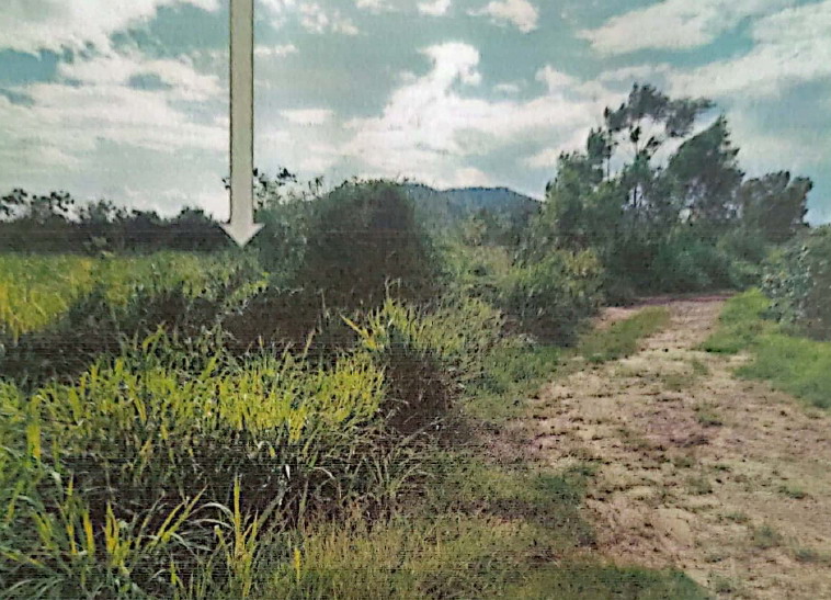 ขายทอดตลาด ที่ดินว่างเปล่า ต.วังหิน อ.บ้านไร่ จ.อุทัยธานี