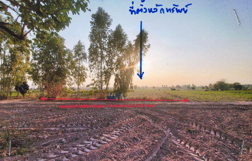 ขายทอดตลาด ที่ดินว่างเปล่า ต.วังสามหมอ อ.วังสามหมอ จ.อุดรธานี