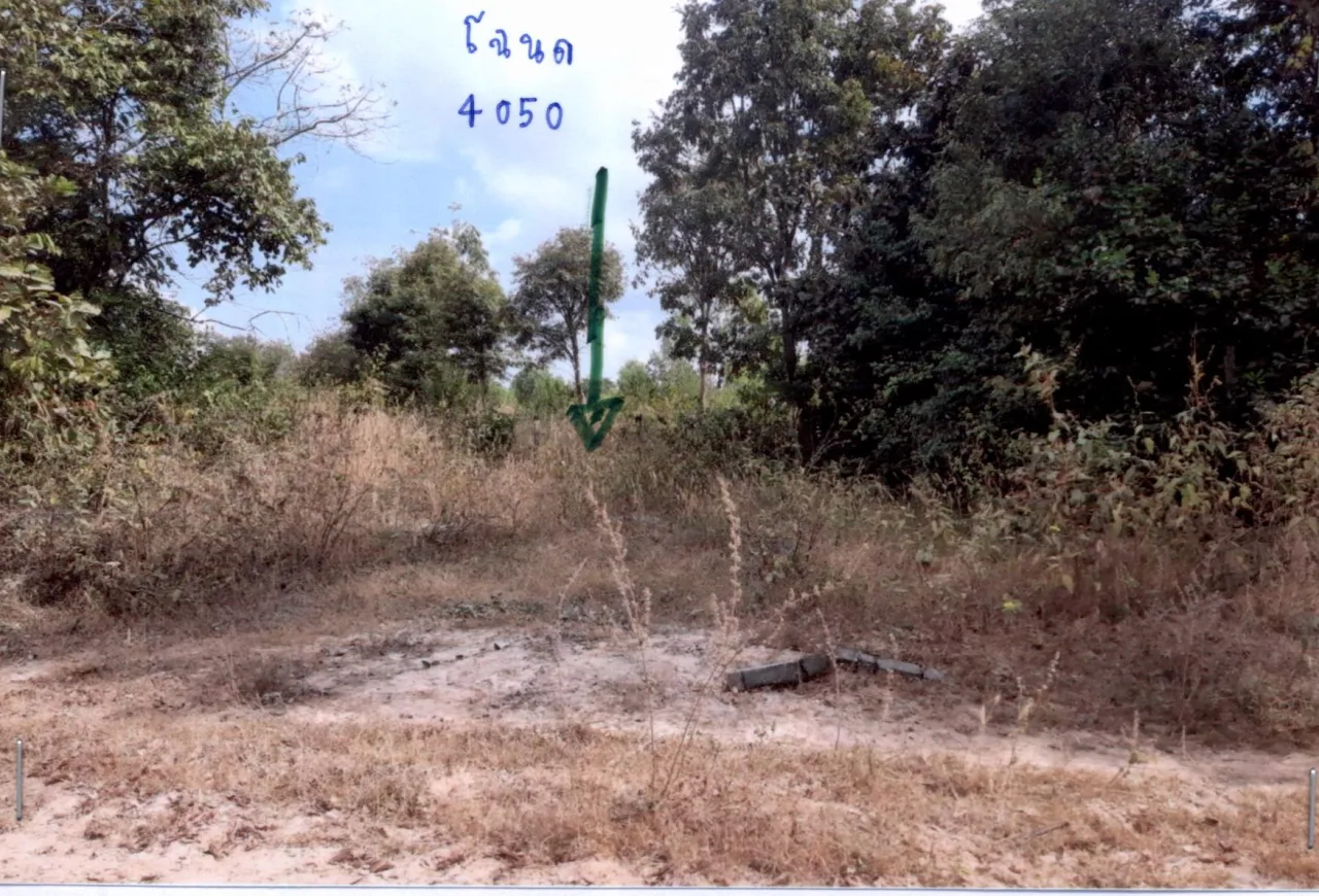 ขายทอดตลาด ที่ดินว่างเปล่า ต.บุ่งหวาย อ.วารินชำราบ จ.อุบลราชธานี