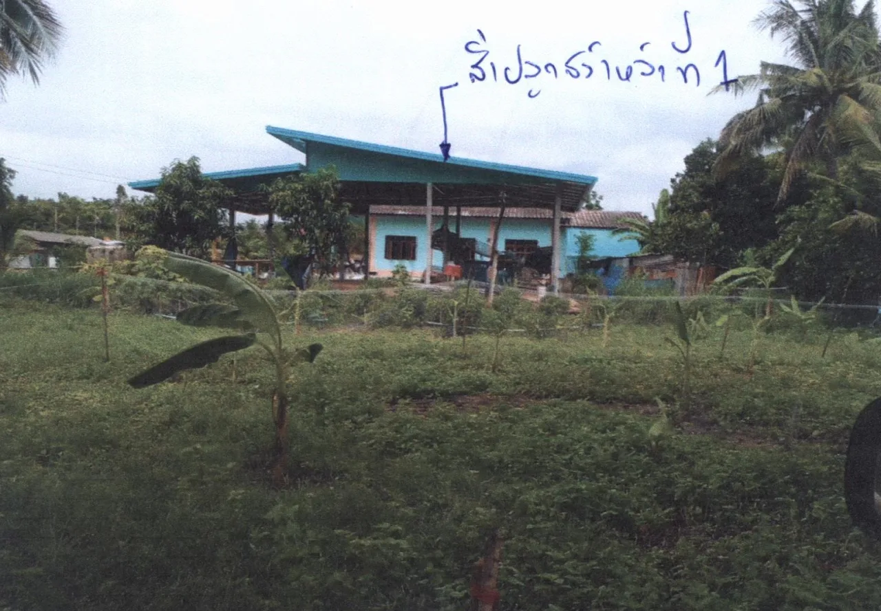 ขายทอดตลาด ที่ดินพร้อมสิ่งปลูกสร้าง ต.ประดู่ยืน อ.ลานสัก จ.อุทัยธานี