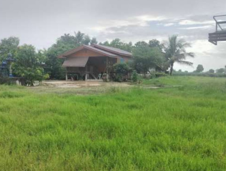 ขายทอดตลาด ที่ดินพร้อมสิ่งปลูกสร้าง ต.ทัพหลวง อ.บ้านไร่ จ.อุทัยธานี