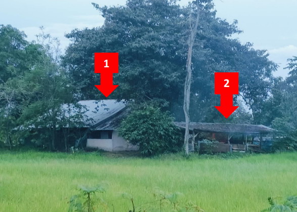 ขายทอดตลาด ที่ดินพร้อมสิ่งปลูกสร้าง ต.แพงใหญ่ อ.กิ่งอำเภอเหล่าเสือโก้ก จ.อุบลราชธานี