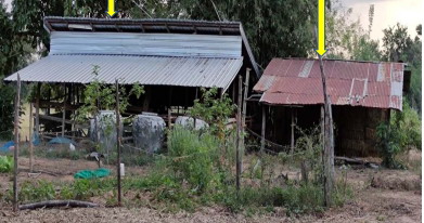 ขายทอดตลาด ที่ดินพร้อมสิ่งปลูกสร้าง ต.เป้า อ.ตระการพืชผล จ.อุบลราชธานี
