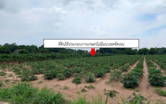 ขายทอดตลาด ที่ดินว่างเปล่า ต.จำปี อ.ศรีธาตุ จ.อุดรธานี