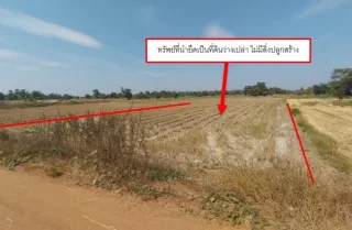 รูปทรัพย์ 1