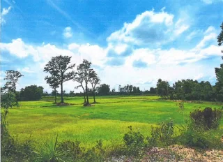 รูปทรัพย์ 2