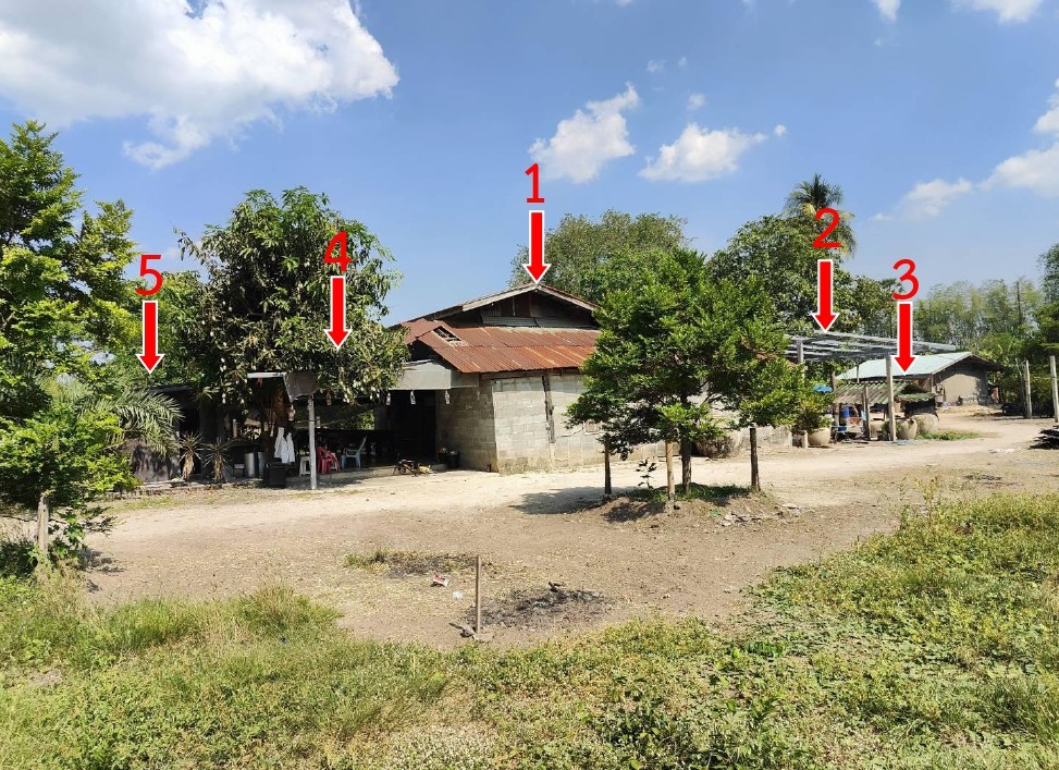 ขายทอดตลาด ที่ดินพร้อมสิ่งปลูกสร้าง ต.หนองยาง อ.หนองฉาง จ.อุทัยธานี