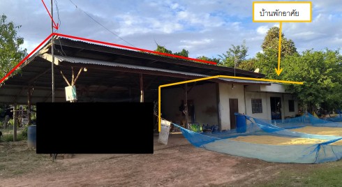 ขายทอดตลาด ที่ดินพร้อมสิ่งปลูกสร้าง ต.หนองเต่า อ.ตระการพืชผล จ.อุบลราชธานี