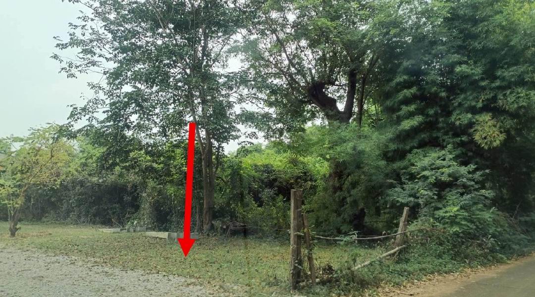 ขายทอดตลาด ที่ดินว่างเปล่า ต.อุทัยเก่า อ.หนองฉาง จ.อุทัยธานี