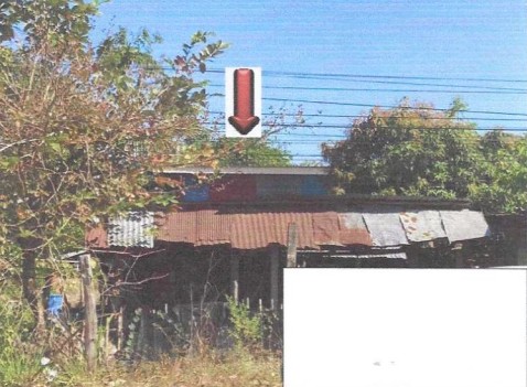 ขายทอดตลาด ที่ดินพร้อมสิ่งปลูกสร้าง ต.เหล่าเสือโก้ก อ.กิ่งอำเภอเหล่าเสือโก้ก จ.อุบลราชธานี
