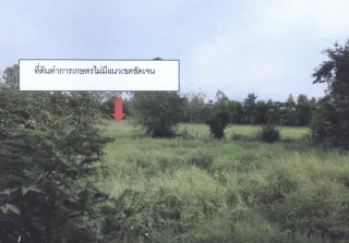 รูปทรัพย์ 2