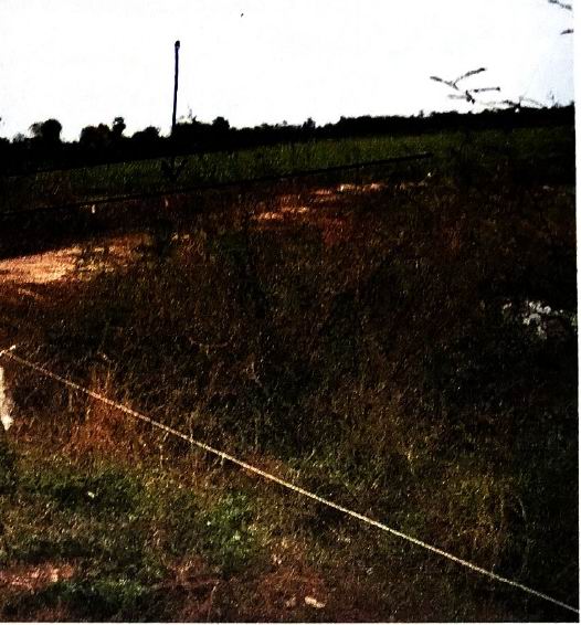 ขายทอดตลาด ที่ดินว่างเปล่า ต.หนองพังค่า อ.เมืองอุทัยธานี จ.อุทัยธานี