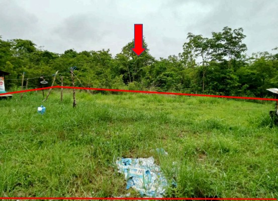 ขายทอดตลาด ที่ดินว่างเปล่า ต.กุดชมภู อ.พิบูลมังสาหาร จ.อุบลราชธานี