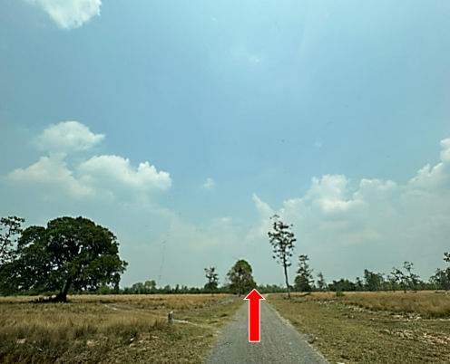 ขายทอดตลาด ที่ดินว่างเปล่า ต.แก่งโดม อ.สว่างวีระวงศ์ จ.อุบลราชธานี