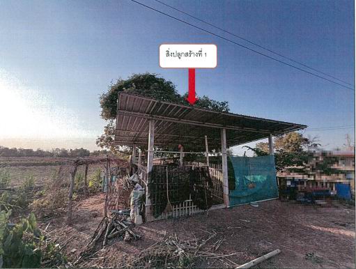 ขายทอดตลาด ที่ดินพร้อมสิ่งปลูกสร้าง ต.นาโพธิ์ อ.พิบูลมังสาหาร จ.อุบลราชธานี