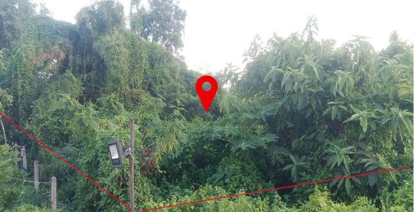 ขายทอดตลาด ที่ดินว่างเปล่า ต.ศิลา อ.เมืองขอนแก่น จ.ขอนแก่น