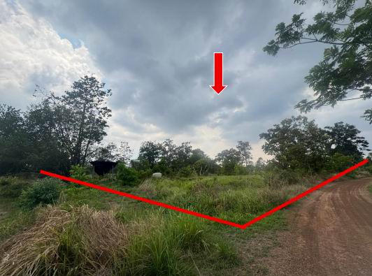 ขายทอดตลาด ที่ดินว่างเปล่า ต.ดุมใหญ่ อ.ม่วงสามสิบ จ.อุบลราชธานี