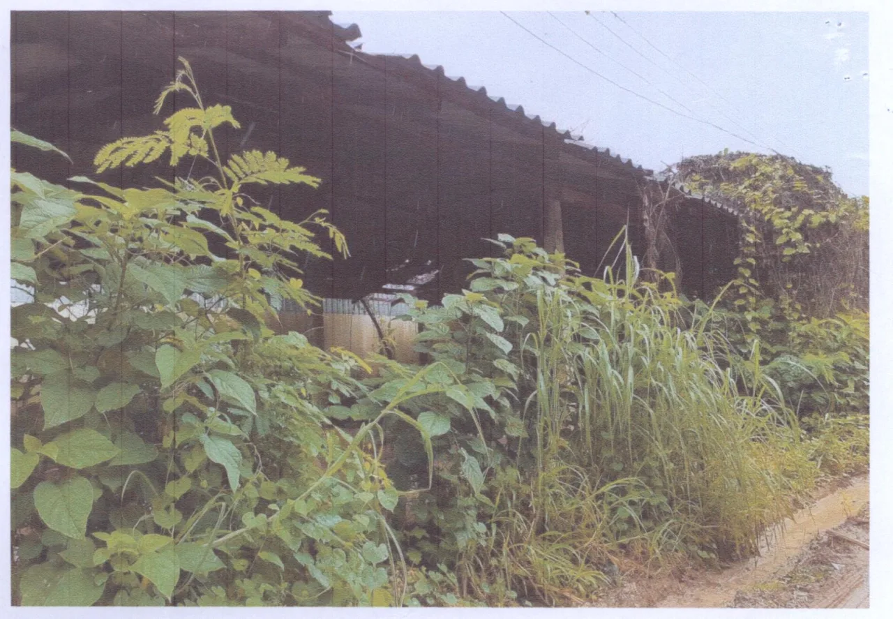 ขายทอดตลาด ที่ดินพร้อมสิ่งปลูกสร้าง ต.หายโศก อ.บ้านผือ จ.อุดรธานี