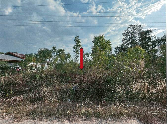 ขายทอดตลาด ที่ดินว่างเปล่า ต.โพธิ์ไทร อ.พิบูลมังสาหาร จ.อุบลราชธานี
