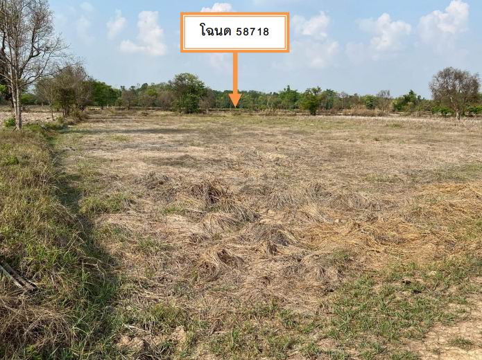 ขายทอดตลาด ที่ดินว่างเปล่า ต.ไหล่ทุ่ง อ.ตระการพืชผล จ.อุบลราชธานี