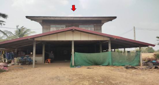 ขายทอดตลาด ที่ดินพร้อมสิ่งปลูกสร้าง ต.หนองผือ อ.เขมราฐ จ.อุบลราชธานี