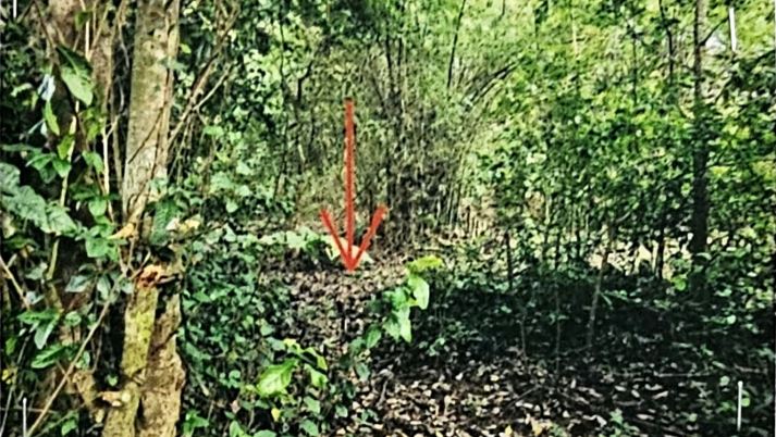 ขายทอดตลาด ที่ดินว่างเปล่า ต.เชียงแหว อ.กุมภวาปี จ.อุดรธานี