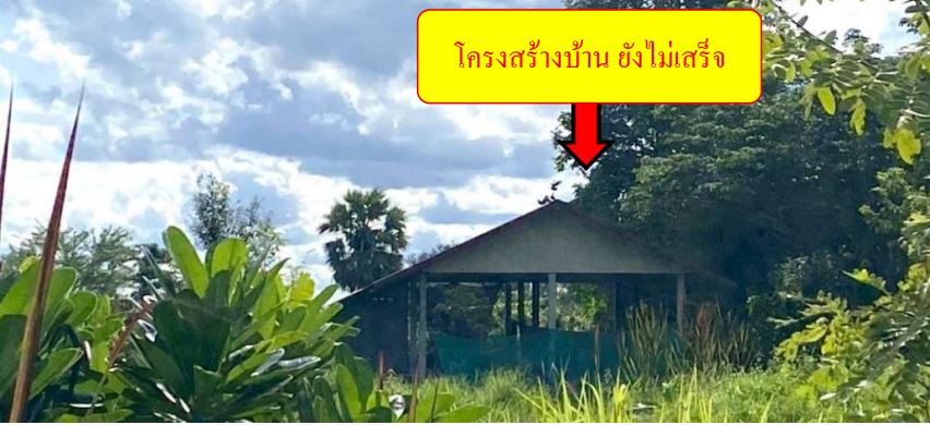ขายทอดตลาด ที่ดินพร้อมสิ่งปลูกสร้าง ต.วังสามหมอ อ.วังสามหมอ จ.อุดรธานี