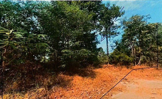 ขายทอดตลาด ที่ดินว่างเปล่า ต.พันดอน อ.กุมภวาปี จ.อุดรธานี