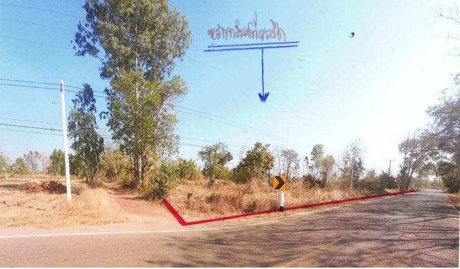 ขายทอดตลาด ที่ดินว่างเปล่า ต.บ้านม่วง อ.บ้านดุง จ.อุดรธานี