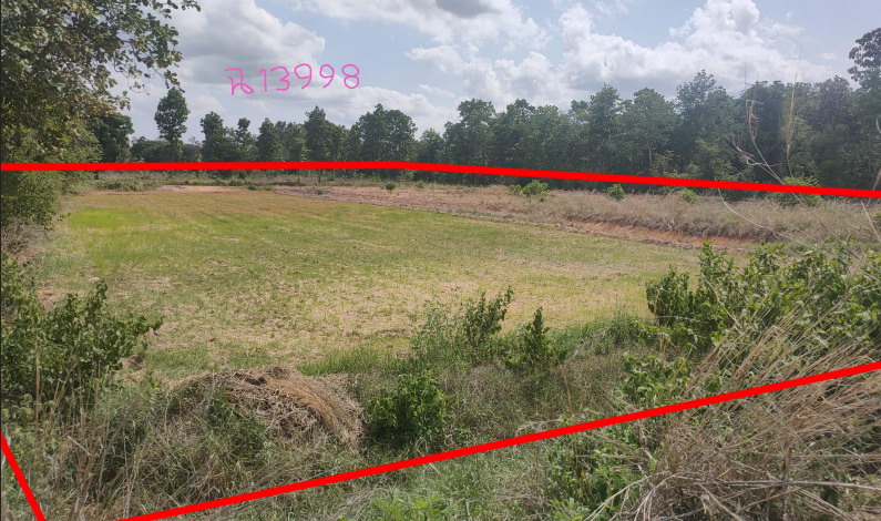 ขายทอดตลาด ที่ดินว่างเปล่า ต.คอนสาย อ.ตระการพืชผล จ.อุบลราชธานี