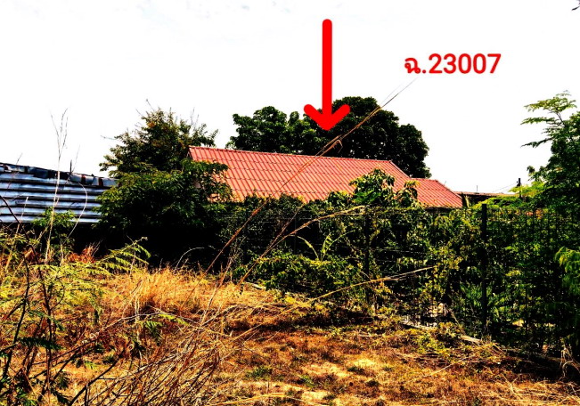 ขายทอดตลาด ที่ดินพร้อมสิ่งปลูกสร้าง ต.ในเมือง อ.เมืองอุบลราชธานี จ.อุบลราชธานี