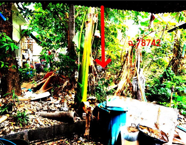ขายทอดตลาด ที่ดินว่างเปล่า ต.ในเมือง อ.เมืองอุบลราชธานี จ.อุบลราชธานี