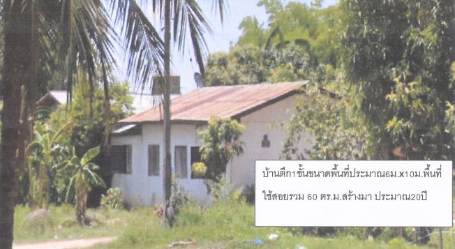 ขายทอดตลาด ที่ดินพร้อมสิ่งปลูกสร้าง ต.คำโคกสูง อ.วังสามหมอ จ.อุดรธานี