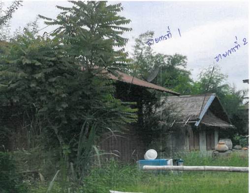 ขายทอดตลาด ที่ดินพร้อมสิ่งปลูกสร้าง ต.ไผ่ใหญ่ อ.ม่วงสามสิบ จ.อุบลราชธานี