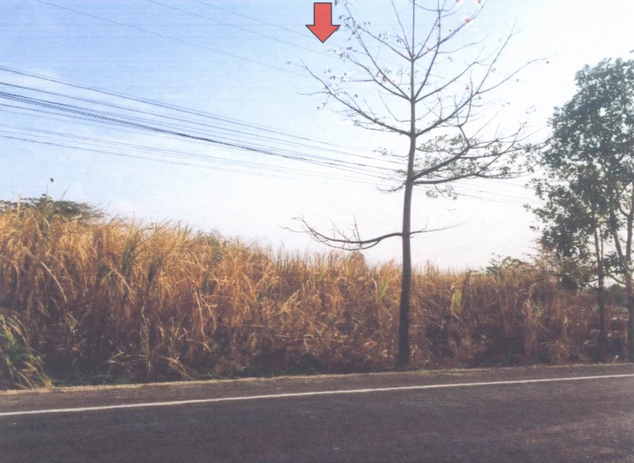 ขายทอดตลาด ที่ดินว่างเปล่า ต.โพธิ์ศรีสำราญ อ.โนนสะอาด จ.อุดรธานี