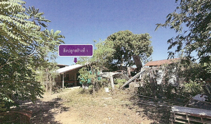 ขายทอดตลาด ที่ดินพร้อมสิ่งปลูกสร้าง ต.บ้านจั่น อ.เมืองอุดรธานี จ.อุดรธานี