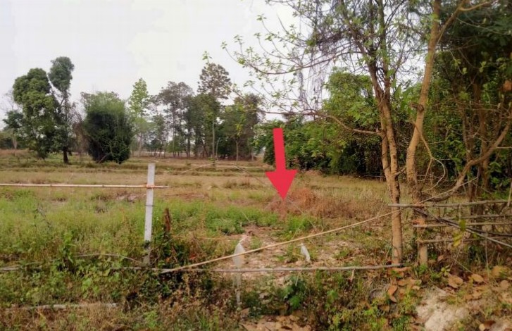 ขายทอดตลาด ที่ดินว่างเปล่า ต.หนองหาน อ.หนองหาน จ.อุดรธานี
