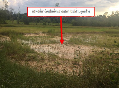 ขายทอดตลาด ที่ดินว่างเปล่า ต.ท่าช้าง อ.สว่างวีระวงศ์ จ.อุบลราชธานี