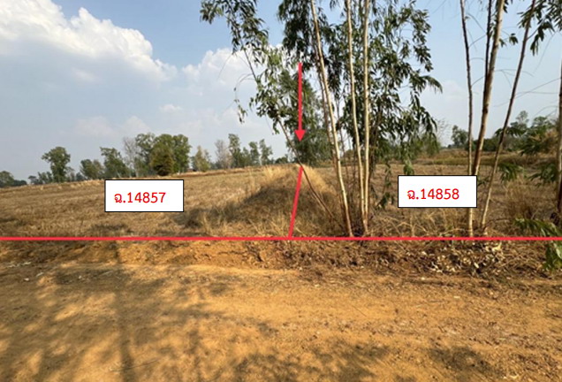 ขายทอดตลาด ที่ดินว่างเปล่า ต.พังเคน อ.นาตาล จ.อุบลราชธานี