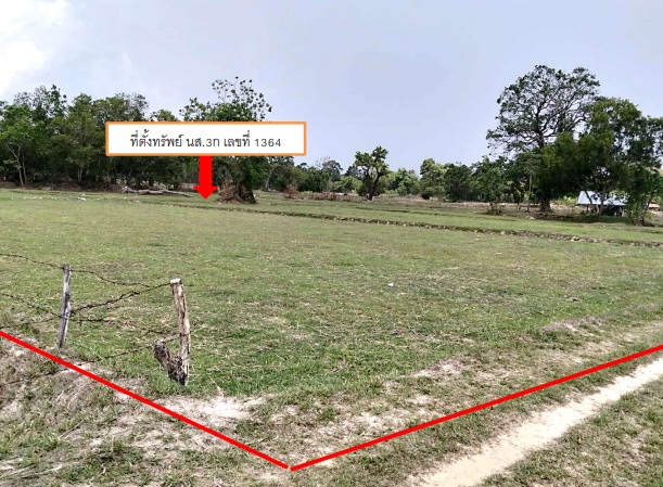 ขายทอดตลาด ที่ดินว่างเปล่า ต.เขื่องใน อ.เขื่องใน จ.อุบลราชธานี