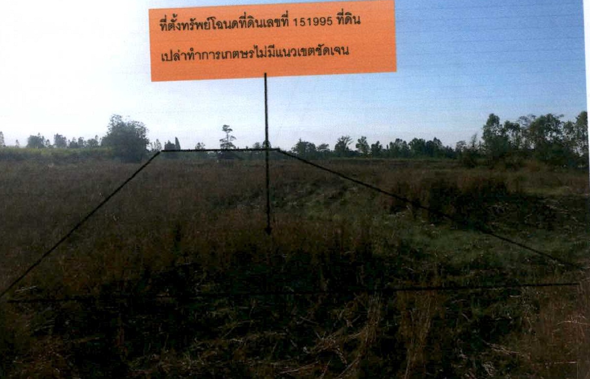 ขายทอดตลาด ที่ดินว่างเปล่า ต.หนองไผ่ อ.เมือง จ.อุดรธานี
