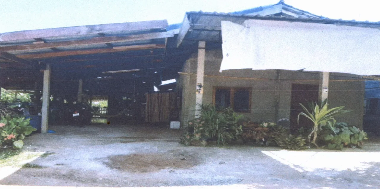 ขายทอดตลาด ที่ดินพร้อมสิ่งปลูกสร้าง ต.โพนสูง อ.บ้านดุง จ.อุดรธานี