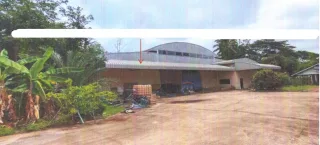 รูปทรัพย์ 2