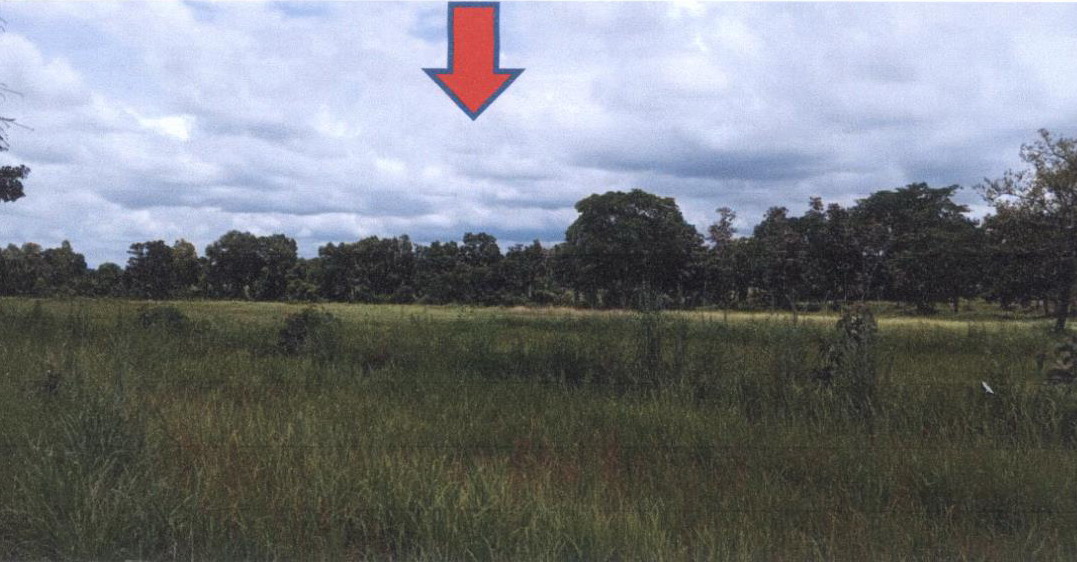 ขายทอดตลาด ที่ดินว่างเปล่า ต.คันไร่ อ.สิรินธร จ.อุบลราชธานี
