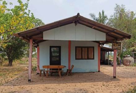 ขายทอดตลาด ที่ดินพร้อมสิ่งปลูกสร้าง ต.ไผ่ใหญ่ อ.ม่วงสามสิบ จ.อุบลราชธานี