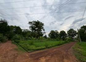 รูปทรัพย์ 2
