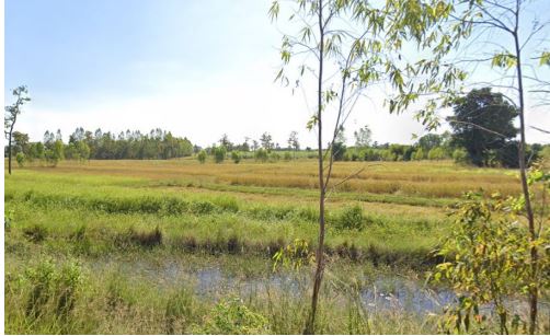 ขายทอดตลาด ที่ดินว่างเปล่า ต.ห้วยโป่ง อ.หนองไผ่ จ.เพชรบูรณ์