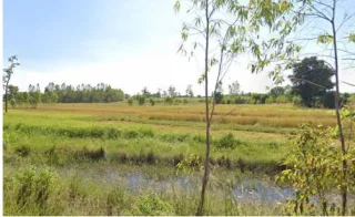 รูปทรัพย์ 1