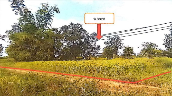 ขายทอดตลาด ที่ดินว่างเปล่า ต.สำโรง อ.ตาลสุม จ.อุบลราชธานี